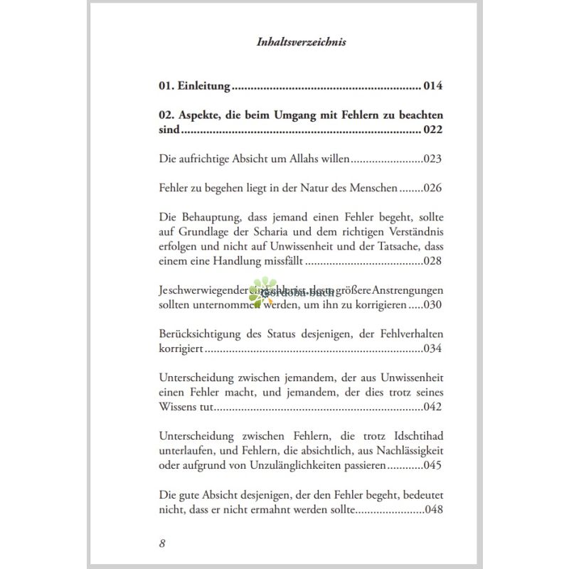 Wie der Prophet s.s. die Fehler seiner Mitmenschen korrigierte