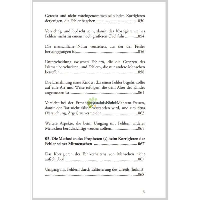 Wie der Prophet s.s. die Fehler seiner Mitmenschen korrigierte
