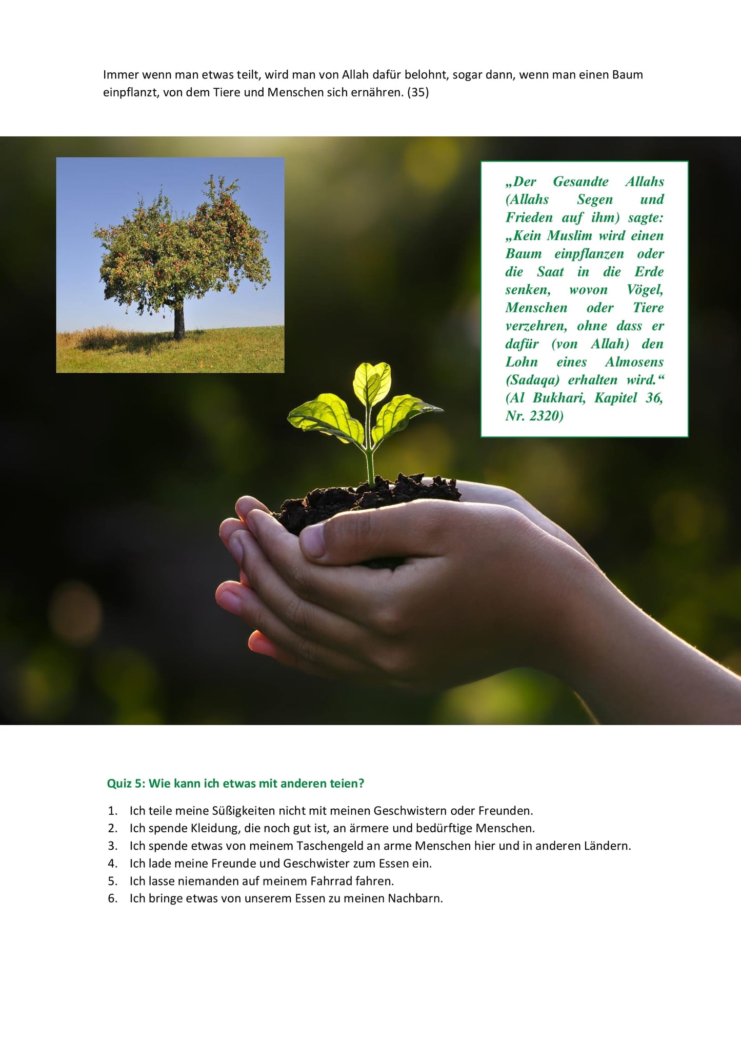 Die Schöpfung bewahren - Umweltschutz nach Qur´an und Sunna für junge Muslime