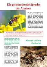 Charger l&#39;image dans la galerie, TOP! Allah ist unser Schöpfer Teil 1    - stärke Deinen Glauben mit diesem Buch (Altersempfehlung: Kinder ab 8 Jahre und Erwachsene)
